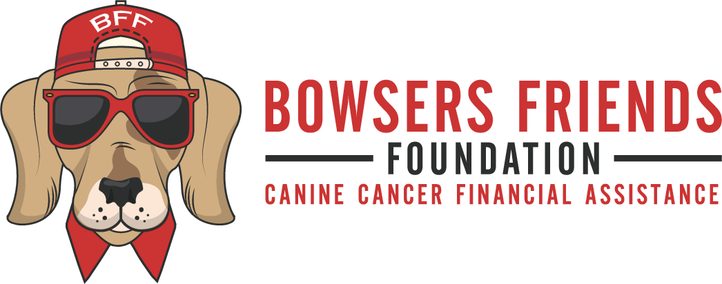 Bowsers Friends Foundation